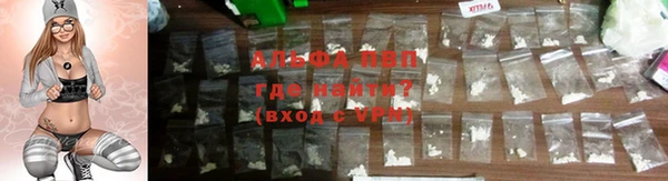 прущие грибы Костерёво