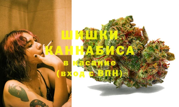 прущий лед Ладушкин