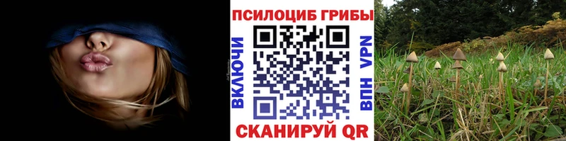 Галлюциногенные грибы прущие грибы  Терек 